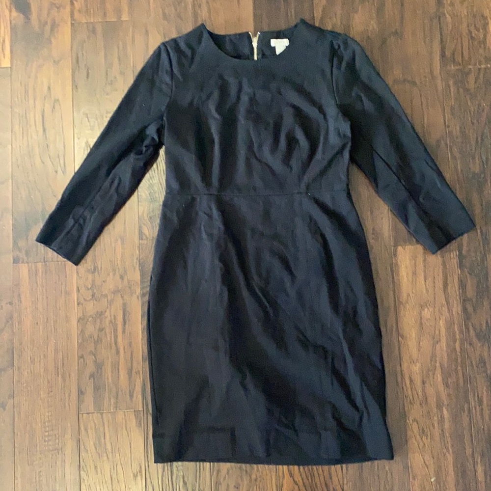 Long Sleeve JCrew Dress